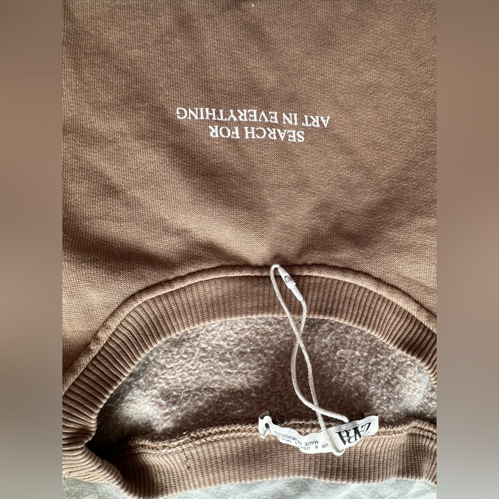Zara Brown Oversized Sweatshirt Graphic Minimal Streetwear Pullover Sweater S - Picture 4 of 11